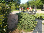 DSCN9545