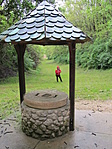 IMG_6178