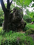 IMG_20190523_161023