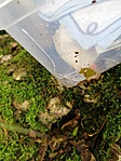 IMG_20190523_160141
