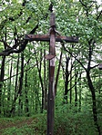 20190504_074542