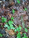 20190504_070917