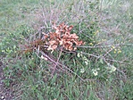 20190516_190507