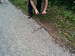 IMG_20190519_140803