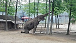 IMG_20190429_110707