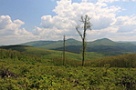 panorámás út 2