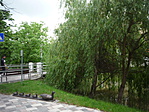 P1190546