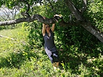 IMG_20190525_141345