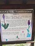 IMG_20190519_131606