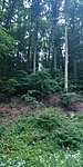 IMG_20190606_202624