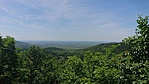DSC_1318