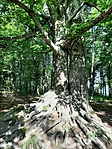 20190610_091636