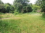 IMG_20190619_113836