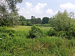 IMG_20190619_113934_1