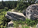 received_2200509080069141