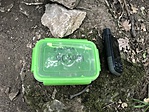 IMG_6197