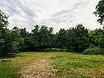 IMG_6199