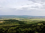 IMG_6200