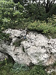 IMG_6204