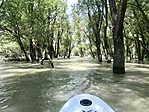 IMG_6183