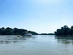 IMG_6186