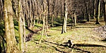 IMG_20190324_133716
