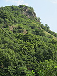 IMG_9686