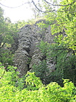 IMG_9699