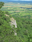 IMG_9705