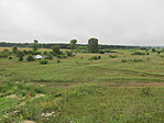 IMG_9888