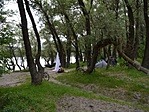 DSC_5003