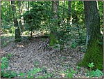 A láda közelében