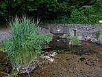 IMG_20190610_170215