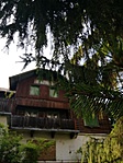 IMG_20190610_170348