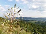 IMG_20190610_181014