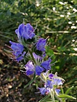 IMG_20190610_181127