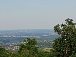 IMG_20190610_183553