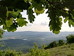 IMG_20190610_184142