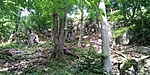 20190608_155256