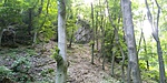 20190608_155922