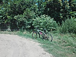 IMG_20190629_132444