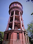 gcbobi-DSC02369