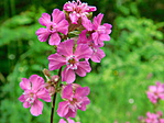 DSCN0576