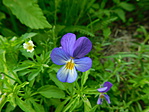 DSCN0571