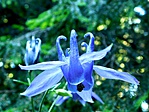 20190626_180517