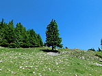 DSCN2587