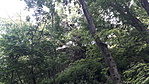 20190610_120930