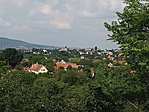IMG_20190624_160550_BEAUTY