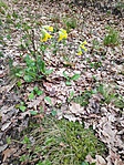 IMG_20190407_112823