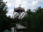 IMG_6143